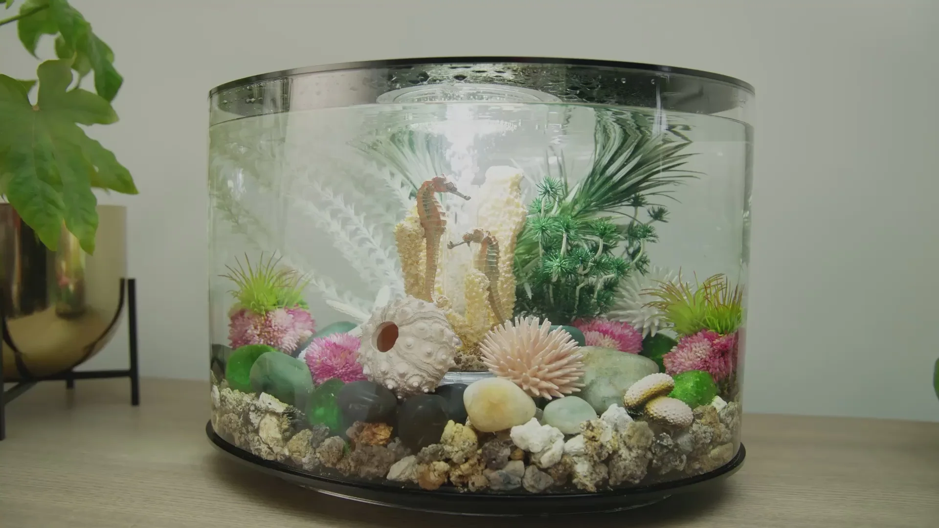Elevate Your Home with Nature